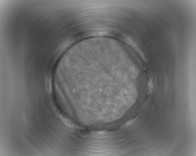 X0000065980110200603241950