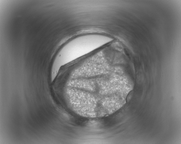 X0000065980111200603241950