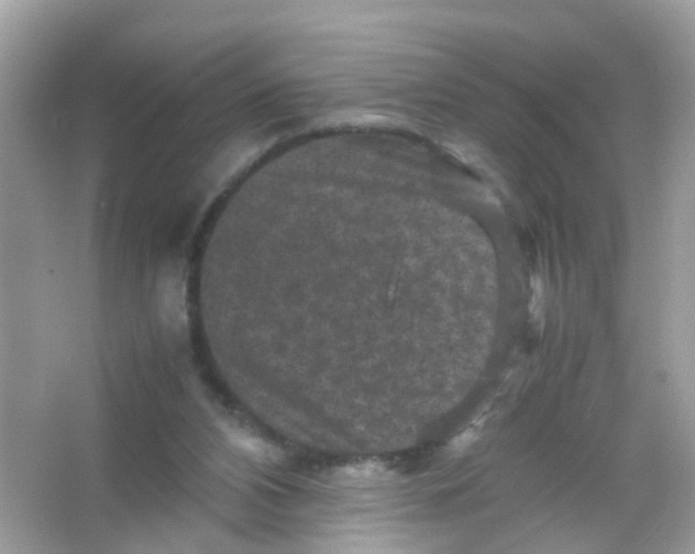 X0000065980112200603241950