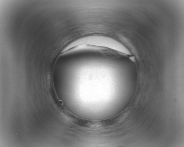 X0000065980113200603241949