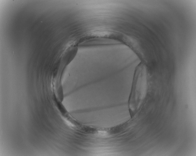 X0000065980114200603241949