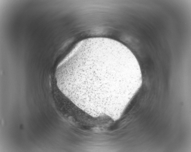 X0000065980115200603241949