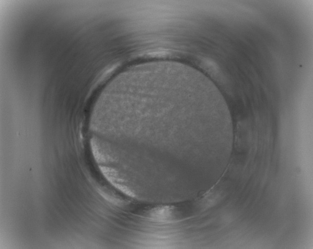 X0000065980116200603241949