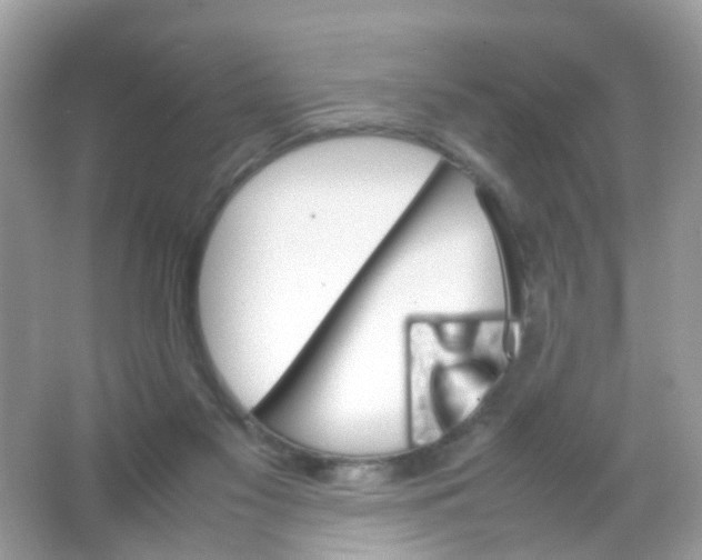 X0000065980117200603241949