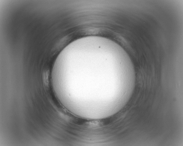 X0000065980118200603241949