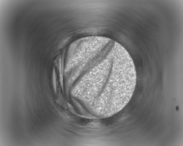 X0000065980119200603241949