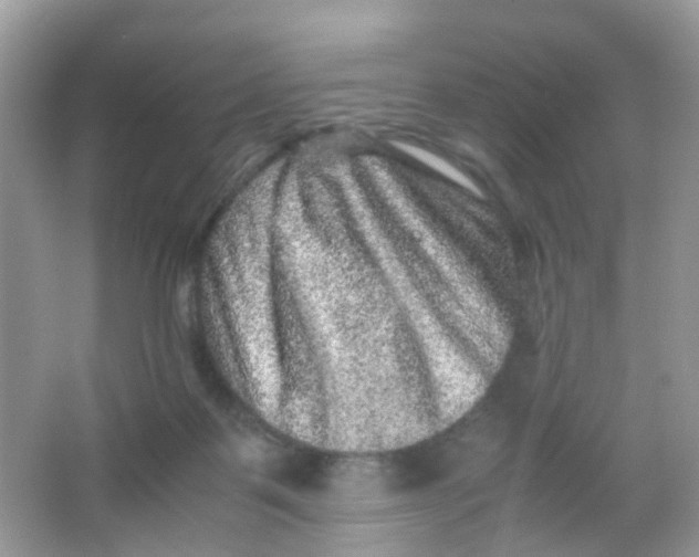 X0000065980123200603241949