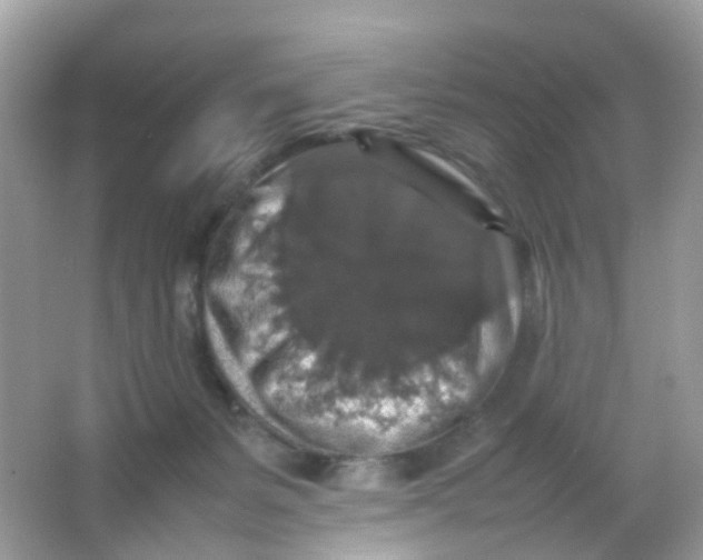 X0000065980127200603241949