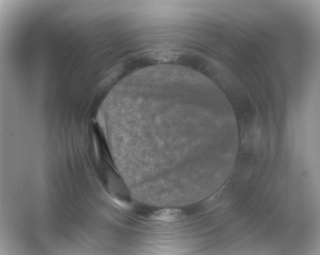 X0000065980128200603241949