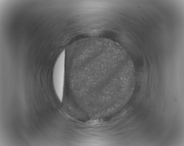 X0000065980131200603241949