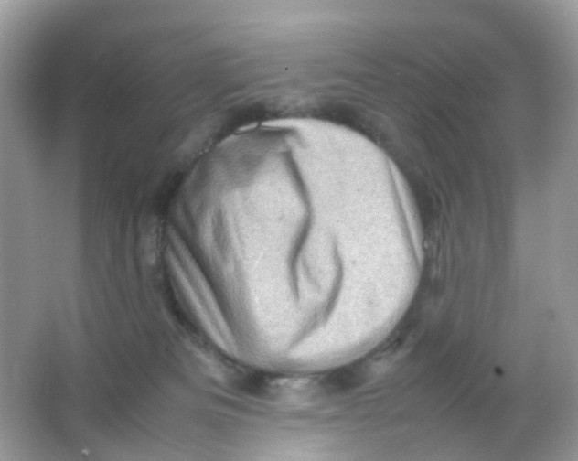 X0000065980133200603241949