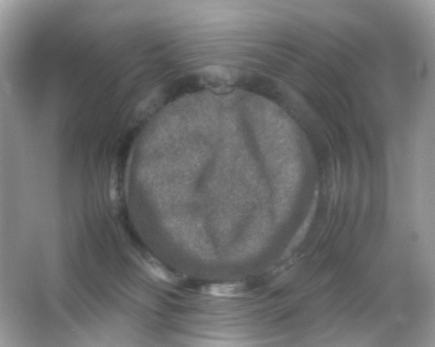 X0000065980134200603241949