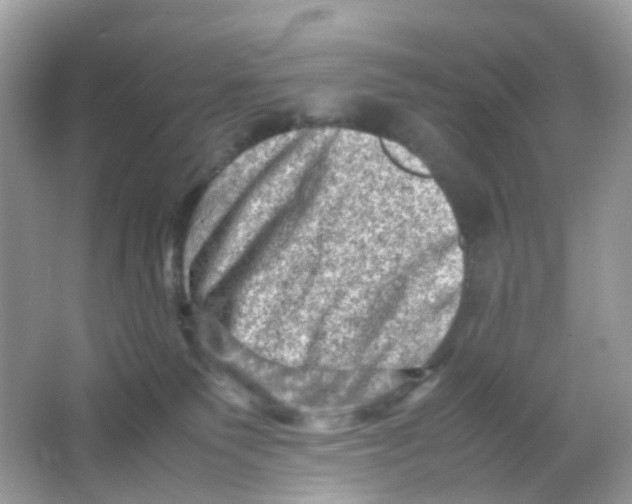 X0000065980135200603241949