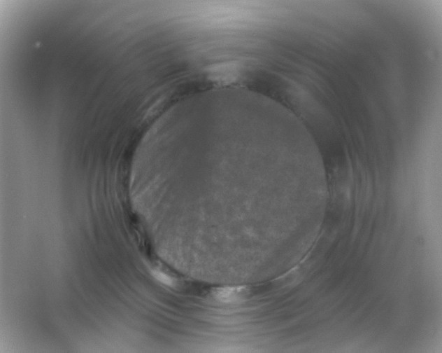 X0000065980136200603241949