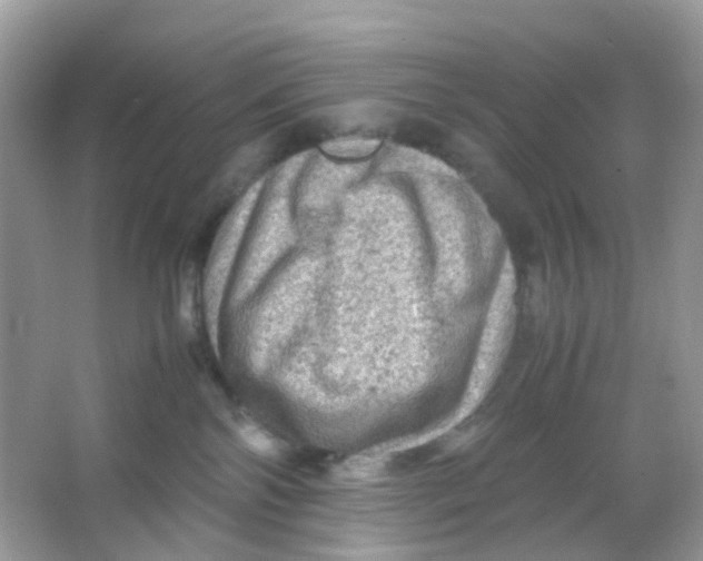 X0000065980138200603241949