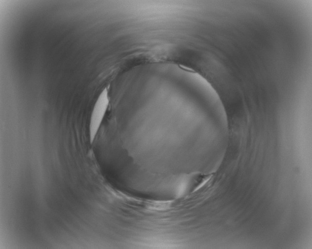 X0000065980139200603241949