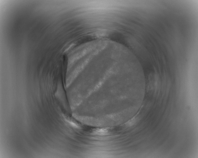 X0000065980140200603241949