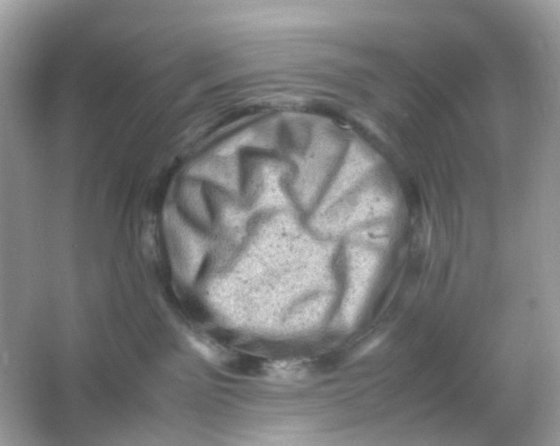 X0000065980141200603241949