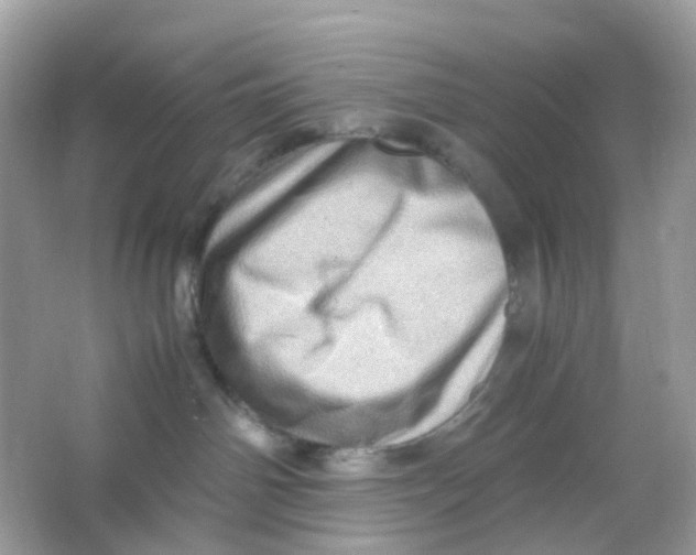 X0000065980142200603241949