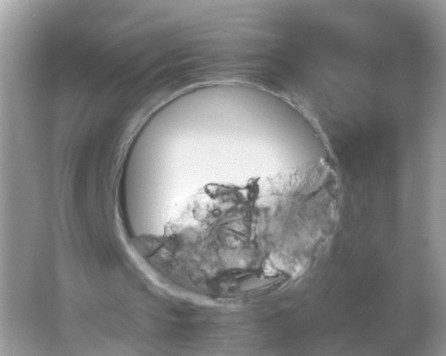 X0000065980145200603241948