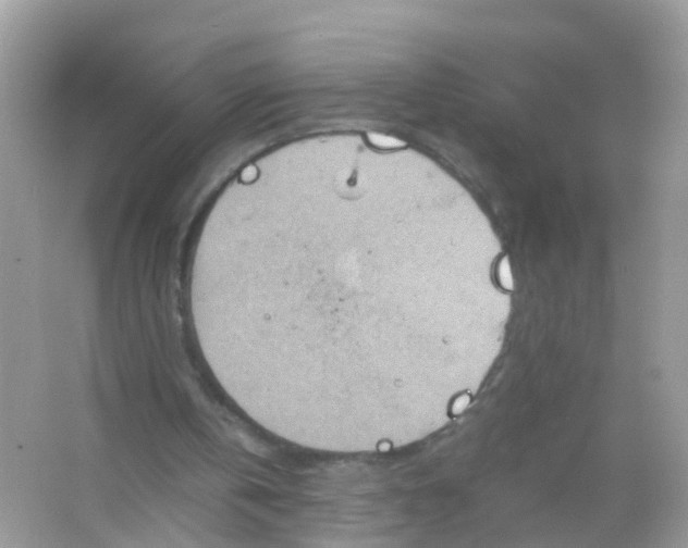 X0000065980146200603241948