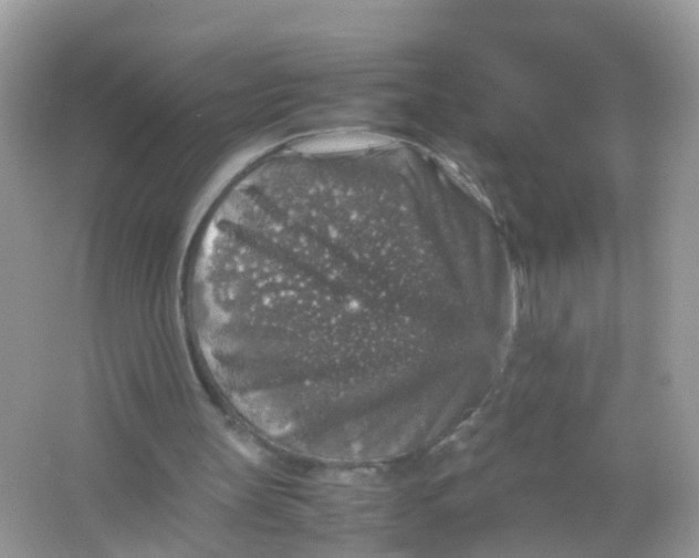 X0000065980147200603241948