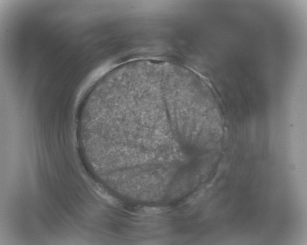 X0000065980149200603241948