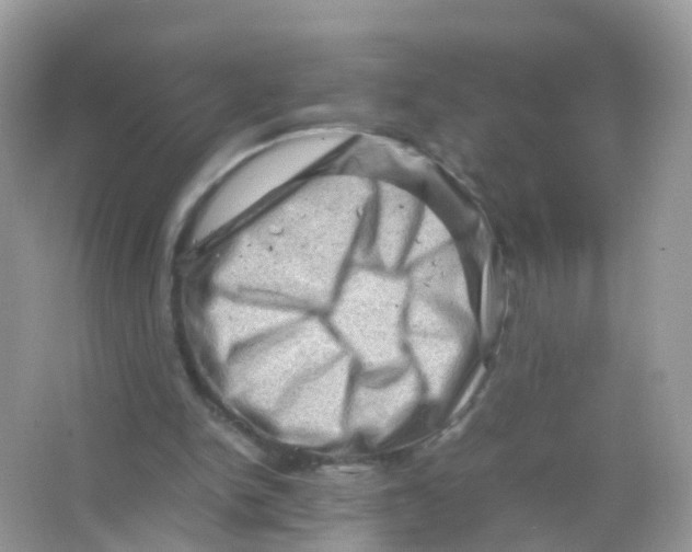 X0000065980150200603241948