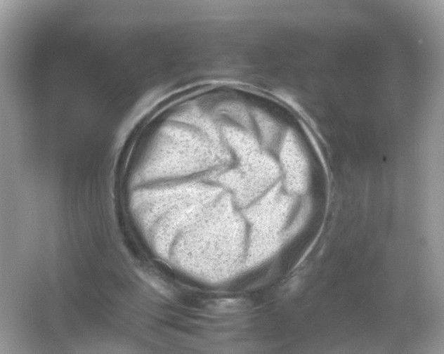 X0000065980151200603241948