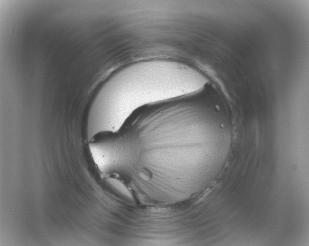 X0000065980154200603241948