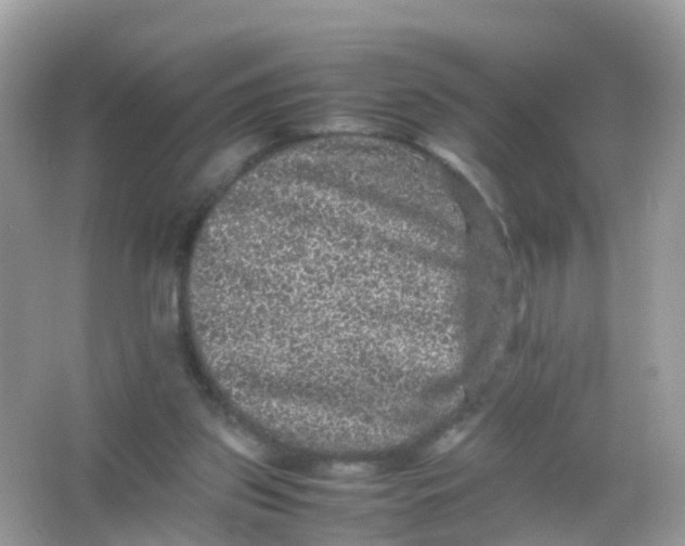 X0000065980157200603241948