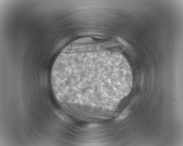 X0000065980158200603241948