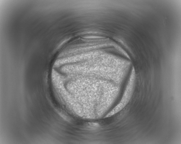 X0000065980159200603241948