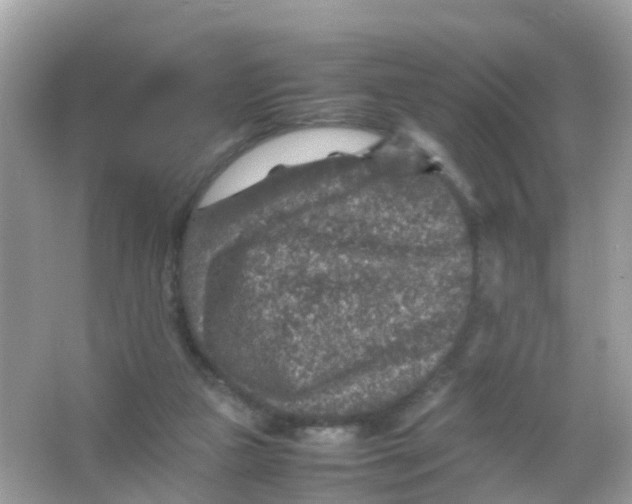 X0000065980161200603241948