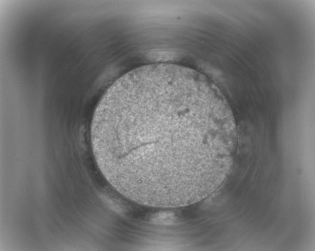 X0000065980162200603241948