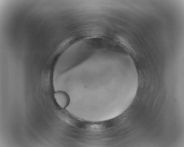 X0000065980163200603241948