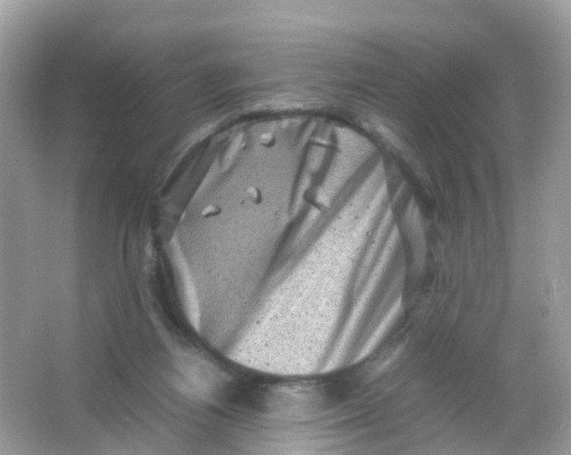 X0000065980164200603241948