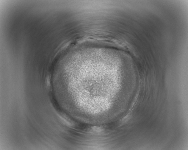 X0000065980166200603241949