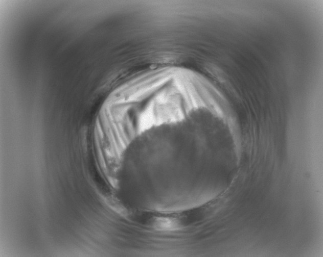 X0000065980167200603241949