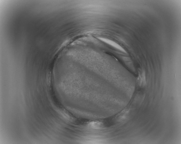 X0000065980168200603241949