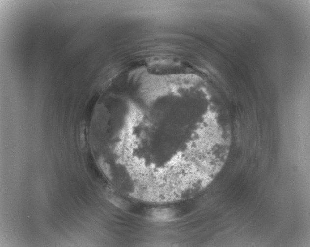 X0000065980169200603241949