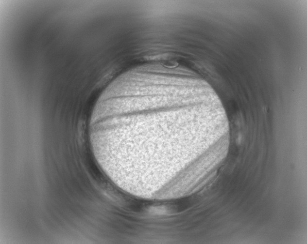 X0000065980171200603241949