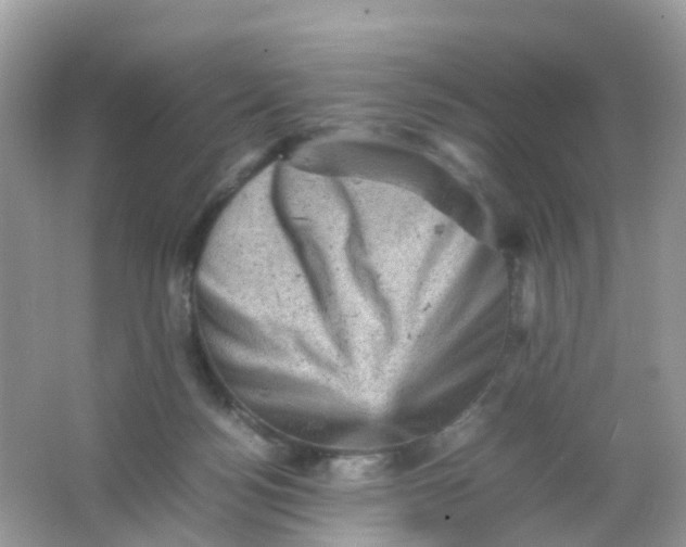 X0000065980172200603241949