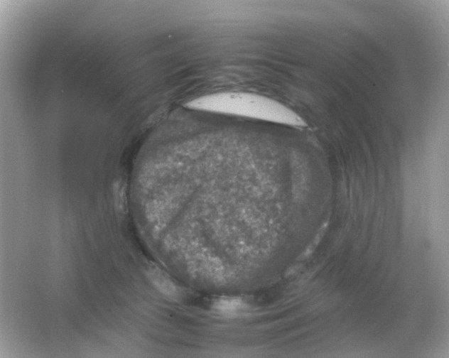 X0000065980177200603241949