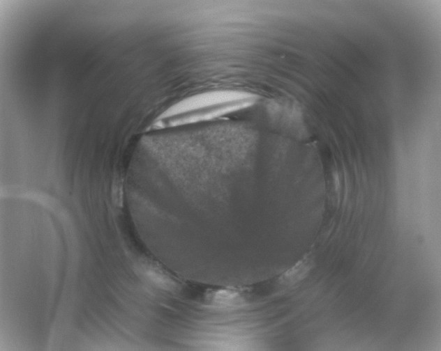 X0000065980180200603241949