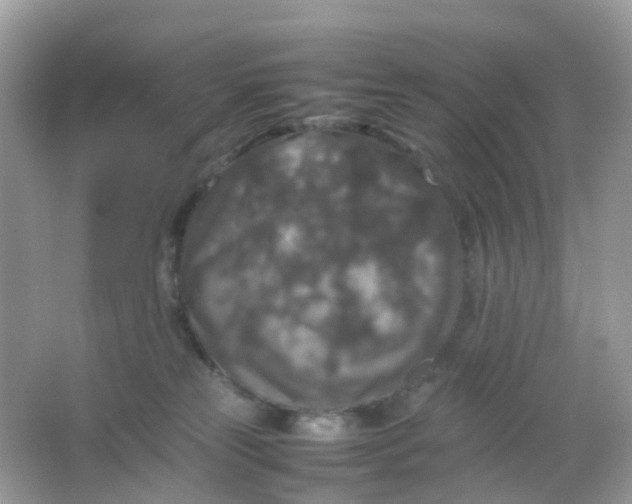 X0000065980181200603241949