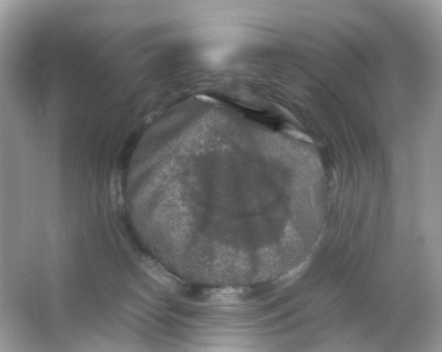 X0000065980182200603241949