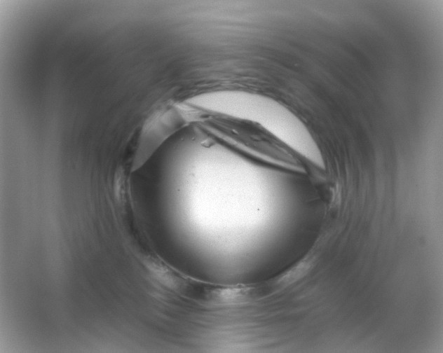 X0000065980184200603241949