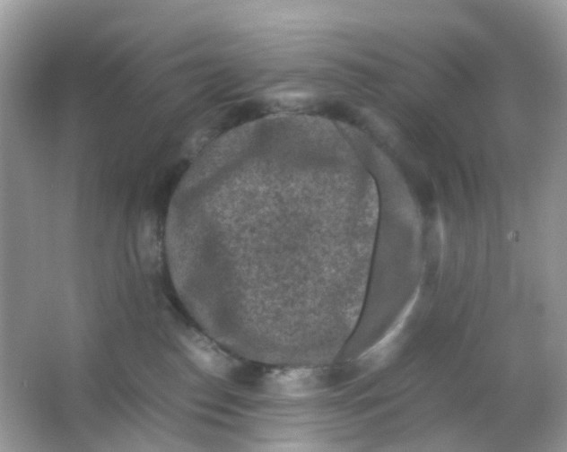 X0000065980186200603241949