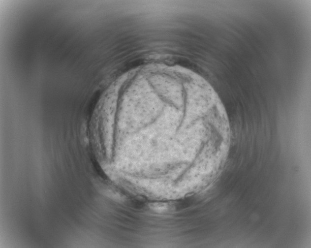 X0000065980187200603241949